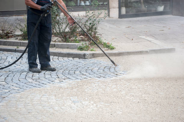  Lutz, FL Pressure Washing Pros