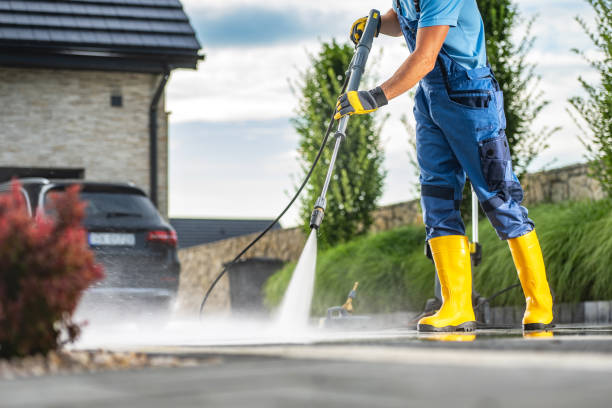 Best Solar Panel Cleaning  in Lutz, FL